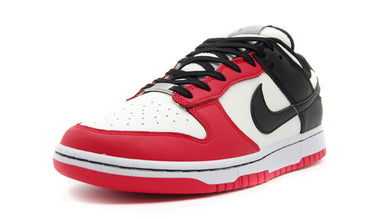 NIKE DUNK LOW RETRO EMB 